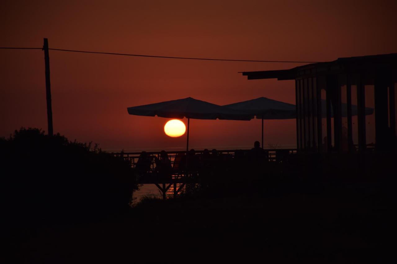 Olive Tree House,agios Gordios דירה
