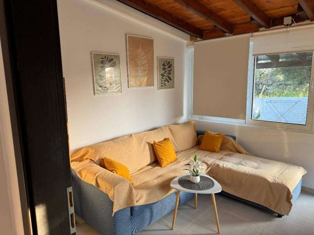 Olive Tree House,agios Gordios דירה
